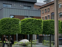 Campbell Square Apartment