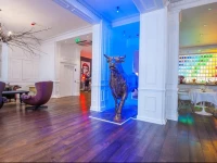 The Exhibitionist Hotel