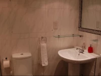 The Mayfair Ritz Apartment