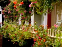 Elysee Hotel - Hyde Park