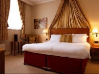 The Mad Hatter Hotel