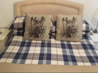 54 Sutherland Street