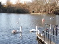 Cosy Homestay Rooms zone 2