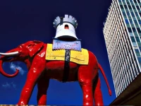 Metro Studio Apartment