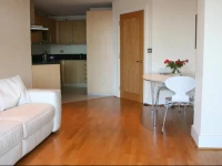 Vauxhall River Views