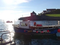 Castaway Holiday Cottage Fife