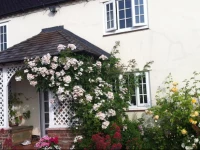 Mulsford Cottage B&B