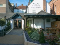 The Elephant at the Market