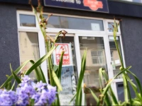 Ocean Surf Lodge Newquay