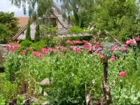 Detached Garden Annex