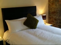 Ty Morgans Apartments