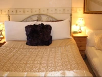 The Douglas Guest House