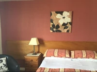 The Ivy House Ferry Link