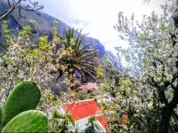 Apartment Navarro-Orlando