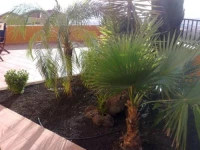 Villa Roque del Conde