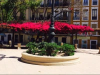 Apartamentos Benito Perez