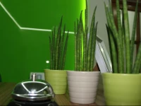 Hostal La EstaciГіn