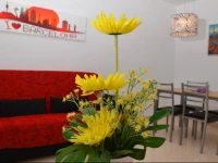 Apartamentos Navas 2