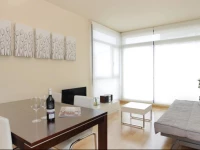 Apartment Olympic Village