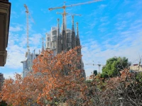 Bbarcelona Sagrada Familia Garden Apartment