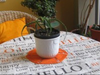 El RincГіn de la Calma