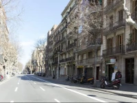 Stay U-nique Rossello