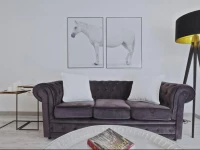 The White Flats Les Corts