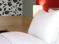 Pentahotel Shanghai 5*