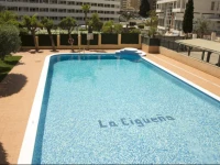 La CigГјeГ±a de vacaciones