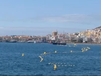 Apartment Calle Amalia Alayon