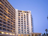 Hi! Gardenia by Globales