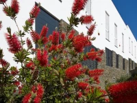 CadaquГ©s Cool Apartments