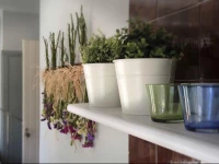 Calella Park La Esquina Verde