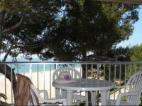 Apartamentos DMS V Arysal