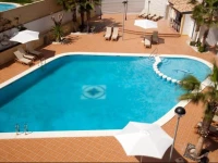 La Familia Gallo Rojo