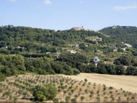 Predi Hotel Son Jaumell