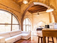 AS Palau dels Alemanys