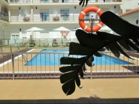 Hotel Apartamentos Loto Conil