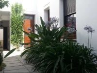 Apartamentos Patio de Viana