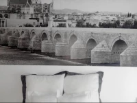 Monteras CГіrdoba Centro