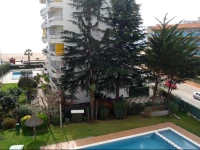 Sol Fenals - Only Family