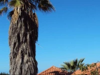 Casas Las Dos Palmeras