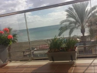 Apartamento Paseo Antonio Banderas