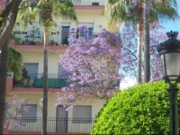 Apartment Ricardo Soriano