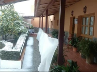 El Molino de Rosa MarГ­a Serrano