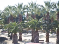 Appartment Kristal Mar II