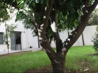 Residencia Mayol - Adults Only