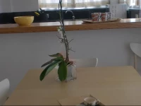 Apartamentos Bressol