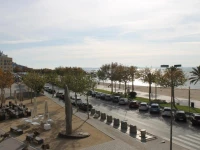 Agi Virgen del Rocio