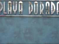 Aparthotel Playa Dorada